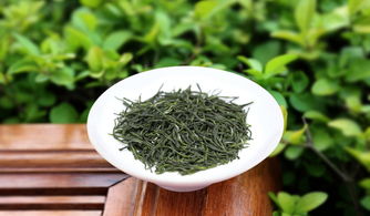 信陽毛尖 一杯春色，千年茶韻的品牌尋味